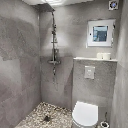 公寓 Prestige Neuf Avec Et Ecran De Cinema En Rez De Jardin 科尔马