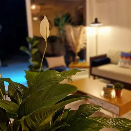公寓 Prestige Neuf Avec Et Ecran De Cinema En Rez De Jardin *