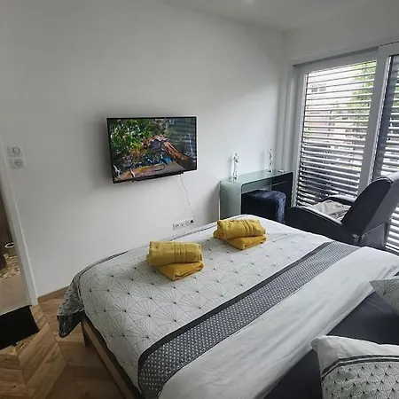 Prestige Neuf Avec Et Ecran De Cinema En Rez De Jardin * 科尔马