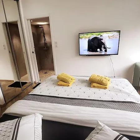 Prestige Neuf Avec Et Ecran De Cinema En Rez De Jardin 科尔马