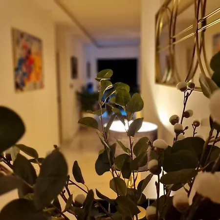 Prestige Neuf Avec Et Ecran De Cinema En Rez De Jardin 公寓 科尔马