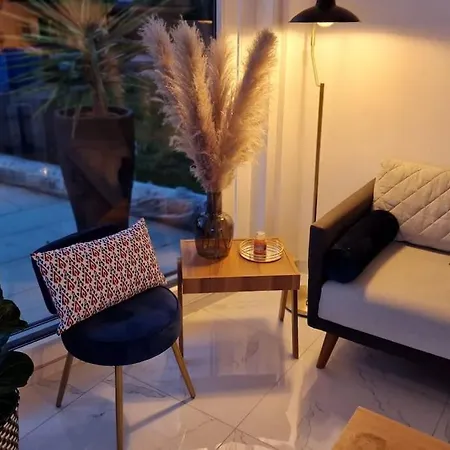 Prestige Neuf Avec Et Ecran De Cinema En Rez De Jardin 科尔马