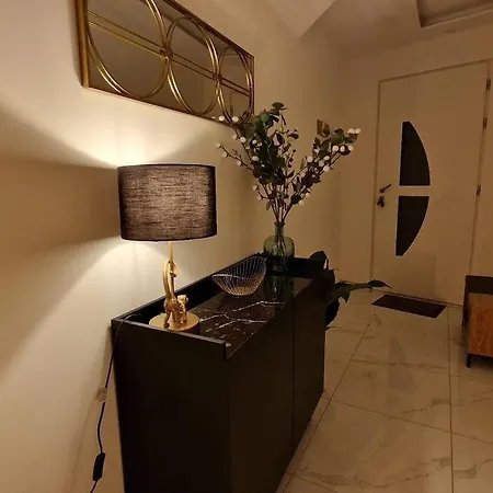 Prestige Neuf Avec Et Ecran De Cinema En Rez De Jardin * 科尔马